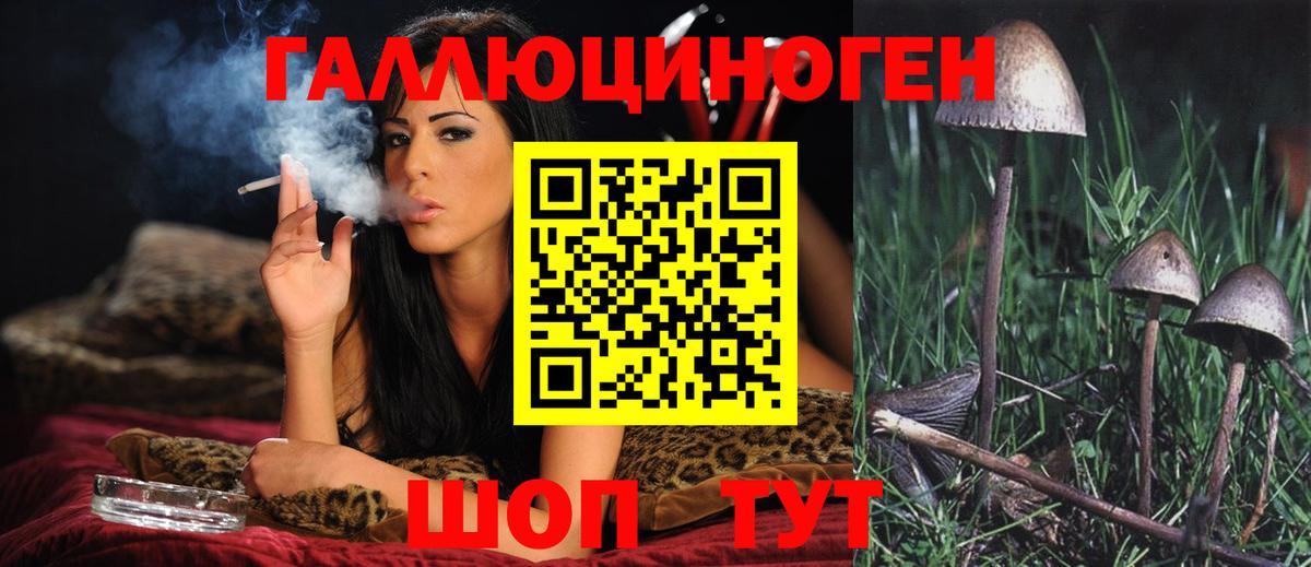 Киселёвск  Галлюциногенные грибы MAGIC MUSHROOMS  Вход с VPN 